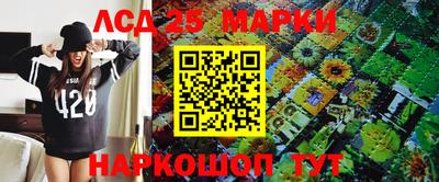 гидра Моздок