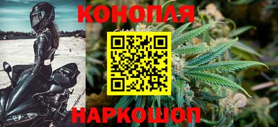 гидра Моздок