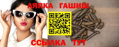 гидра Моздок