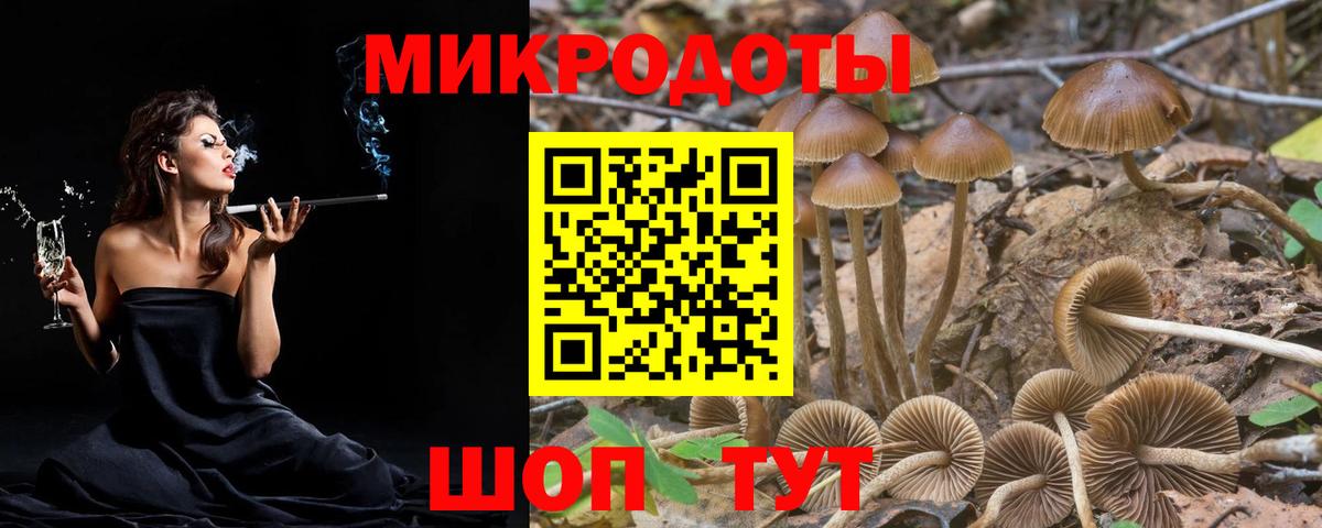Галлюциногенные грибы мухоморы  Галлюциногенные грибы Psilocybine cubensis  Вход с VPN  Саров 